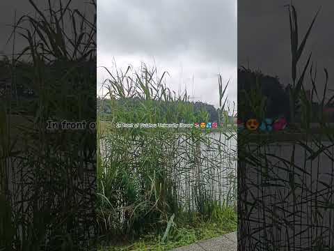 In front of Guizhou University library 📚😍💦💞 #china #university #guizhou #reels #video