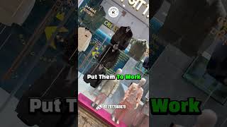 Start your retail journey with Kuia Creations | Kuia Creation