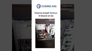 I tried to install python but updateed live version installed #codingage #memes