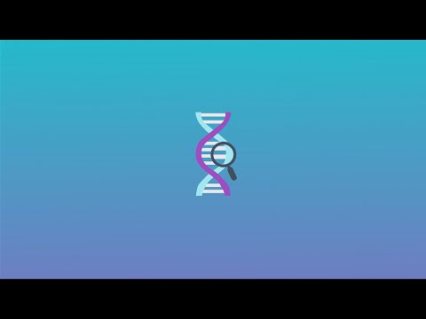 Features of Adopted.com