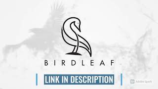 I will design 2 modern minimalist logo