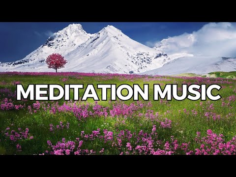 "The Benefits of Forest Bathing: Reconnect with Nature and Yourself"