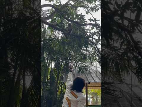 Ooty Wayanad vlog part 2 🚗 #funny #minivlog #vibes #travel #food