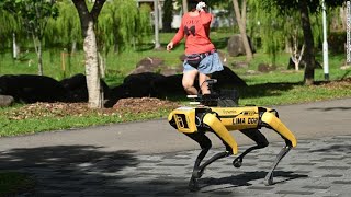 Robotic Security Monitoring Dog | AI inTech