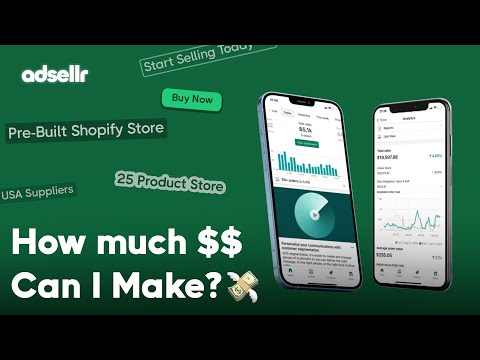 How Much $ can I Make with a Pre-Built Shopify Store? - adsellr