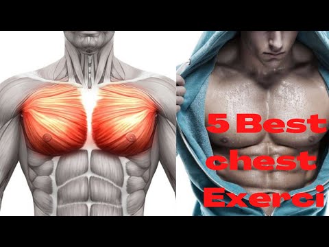top 5 chest Exercise