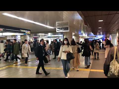 Osaka Japan : A little corner in Namba | Travel Video