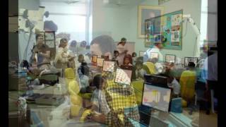 Online Courses From Top Universities