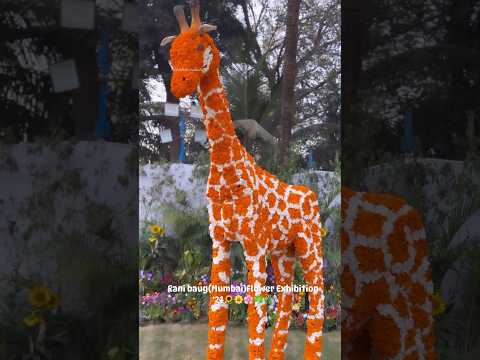 Jijamata Udyaan (Rani baug)Mumbai Flower Exhibition’24 #ranibagh#mumbaikar#flowerexhibition#mumbai