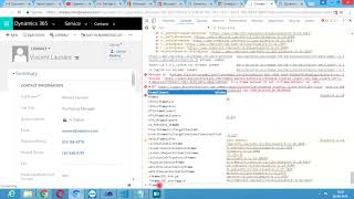 How to get CRM Record GUID from developer tool