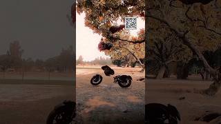 Vn qr Code Reels |Vn Code|vn Template Code |vnvideo editor |Trending VnCode#vncode #vneditor