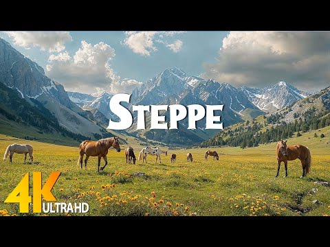 Amazing Nature - 4K Scenic Relaxation Fims