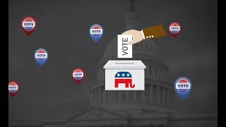 What are the US midterm elections?