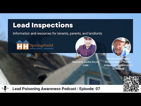 Lead Inspections