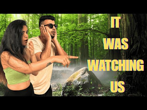 You Won’t Believe What We Found in the Middle of a Canadian Forest 🦌🦌