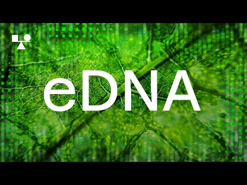 Environmental DNA