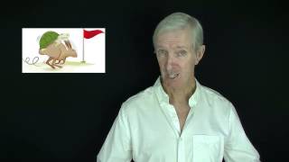 Accelerated Learning - How to Learn Anything and Remember It