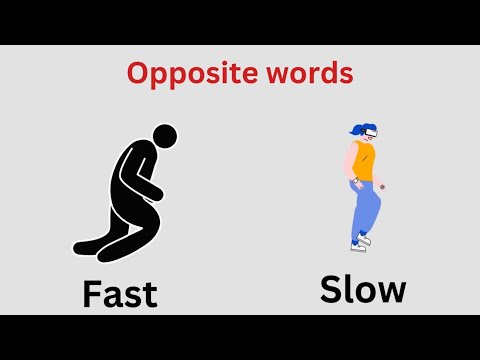 Opposite Words Vocabulary for kids| Learn Opposite Words  in English| What is the opposite word of