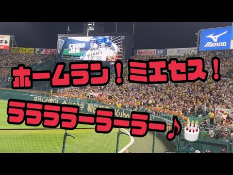 🎂🐯誕生日ミエちゃん🐯🎂