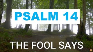 The FOOL Says | Psalm 14 Music Video