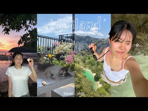 TRAVEL VLOG 🐈🐈‍⬛ meeting kitties in Krabi & Phi Phi Islands: things to do and where to eat!