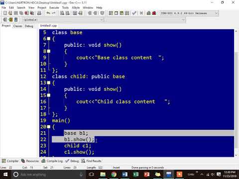 Virtual Function