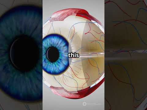 Why You See Stars When You Rub Your Eyes – Explained in 45 Seconds!