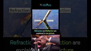 Refraction and Reflection