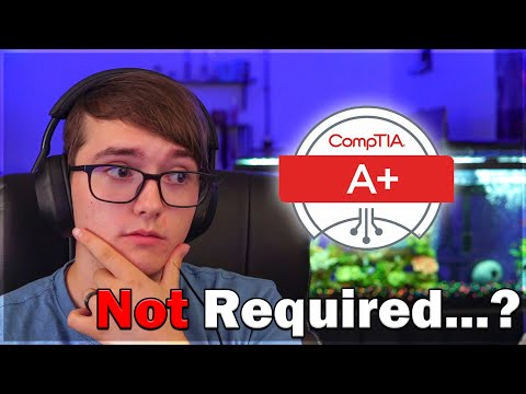 Do You ACTUALLY Need Certifications to Land an IT Help Desk Job?