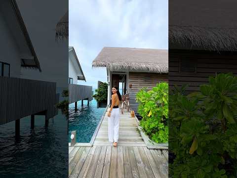 Imagine staying in an overwater villa in the Maldives ✨ #maldives #travel