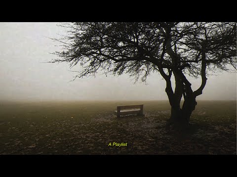 Calm Days Mood | A Dark Academia Playlist