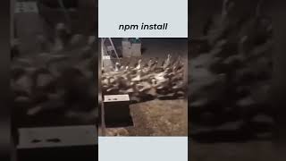 npm install: Because Who Needs Sleep Anyway? 😅 #npm #javascript #nodejs