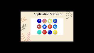 Different Types of Software: System, Application, Programming, and Driver Software