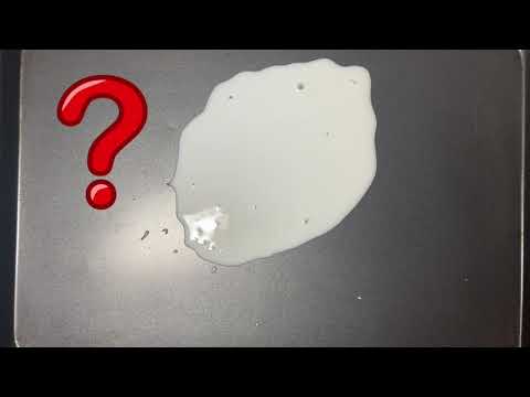Spilt Milk Predictions