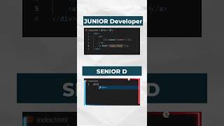 When a Junior Developer Meets a Senior Developer 😂