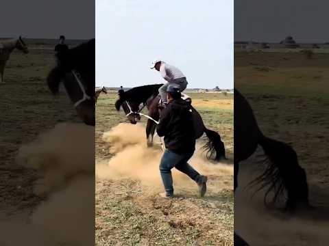 #alleyesonme #2pac #horse #horseshow #horses #horsetraining