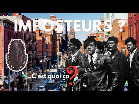 BLACK PANTHER PARTY : Le message CACHÉ d'une communauté