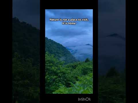 Traveling #jungle #travel #weekend #asmr #viral #shorts #cloudy #dream #mountains