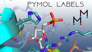 PyMOL: Labels (That actually look good!)