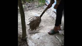Hardworking Farmer Picks Eggplants for Sale 💪🌿 | Rural Life Story