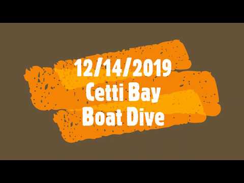 Dive - Guam - 12-14-2019 - Cetti Bay