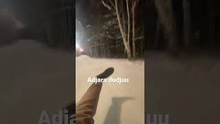 Hafli halokat.