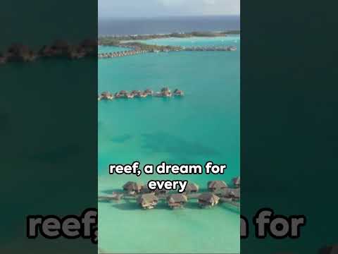 Top Beaches : A Global Tour #borabora #bahamas #whitehavenbeach #seychelles