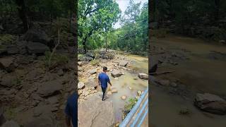 India ka sabse bada comeback!#PannaNationalPark​ #TigerSafariIndia​ #viral #travel #tranding