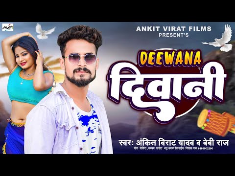 दिवाना दीवानी | #AnkitVirat Yadav | Deewana Deewani | #Bebi Raj |  Bhojpuri song 2024,