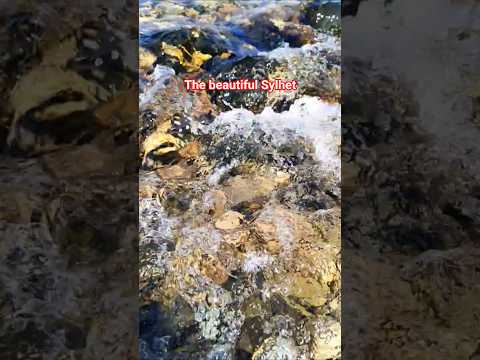 #trending #viralreels #viralshorts #bangladesh #sylhet