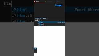 What does each part of the basic HTML structure mean?