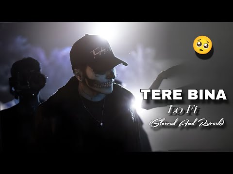 TERE BINA 🥺 (Official Lo-fi Song 2025) | Heart Touching Sad Love Music 🎵 | Feel the Vibes 💔