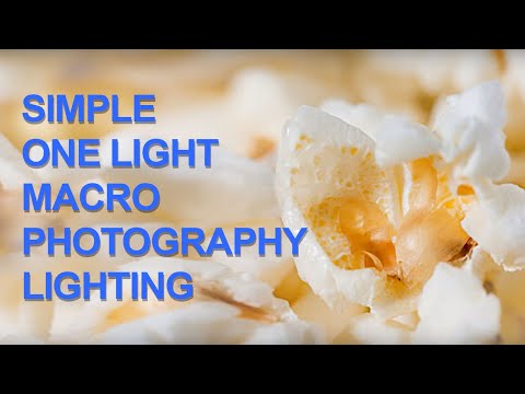 Super Simple Macro Photography Lighting You Can Easily Use to Take Great Close-up Photography