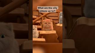 We ♥️ cats! Part 1: Where could the kittens be? #shorts #badanamukids #cat #kitten
